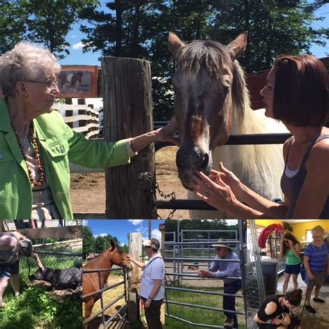 Live and let live farm - Live and Let Live Farm Rescue, Chichester, NH. 62,172 likes · 1,925 talking about this · 4,730 were here. We hope this site will draw attention to the plight of horses, at risk pregnant dogs & cats,...